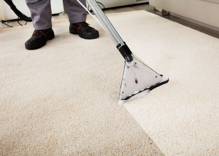 How Do You Clean Dog Pee Out of a Carpet? - Rug Cleaning