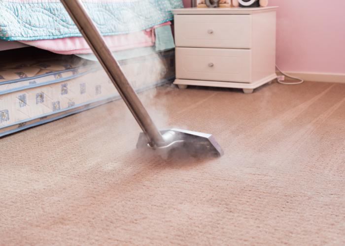 What is the Best Carpet Cleaning Technique For My Home or Office?